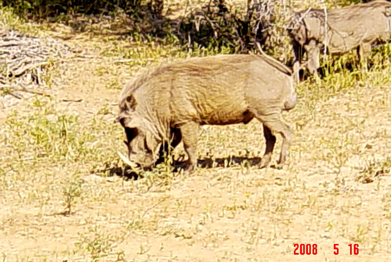 DSC01862