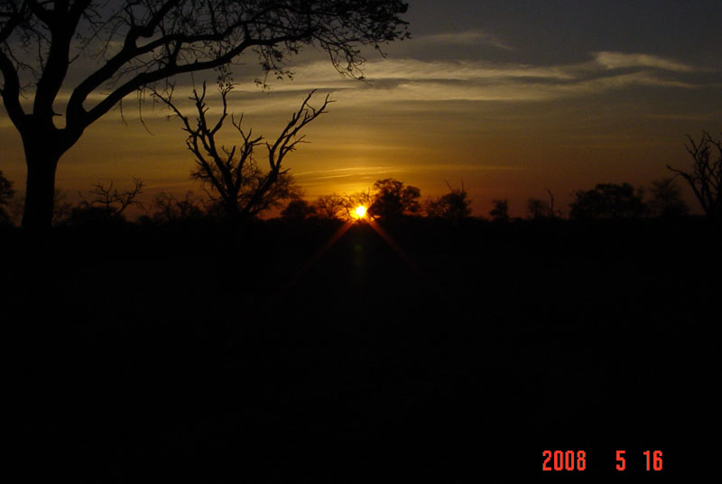 DSC01875