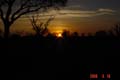 DSC01875