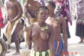 DSC01897
