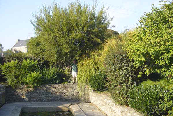 Tarzan recherche "Jane "d�sesperemment