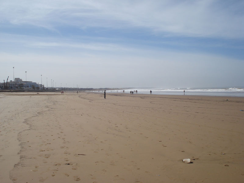 DSC01337