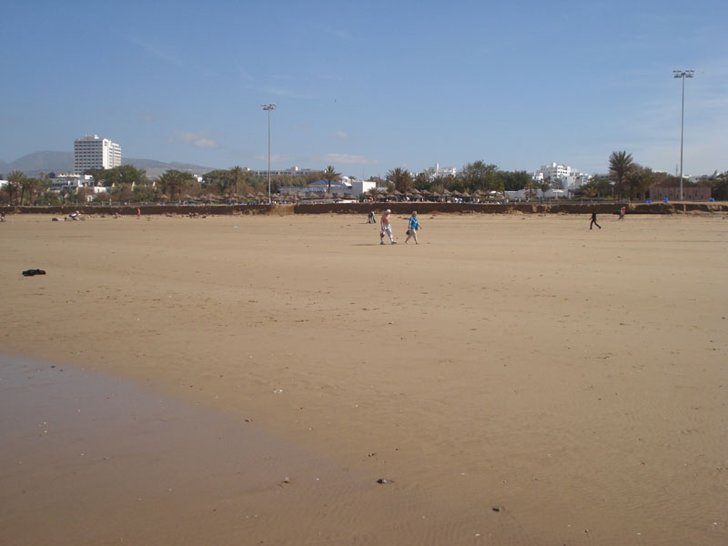 DSC01354