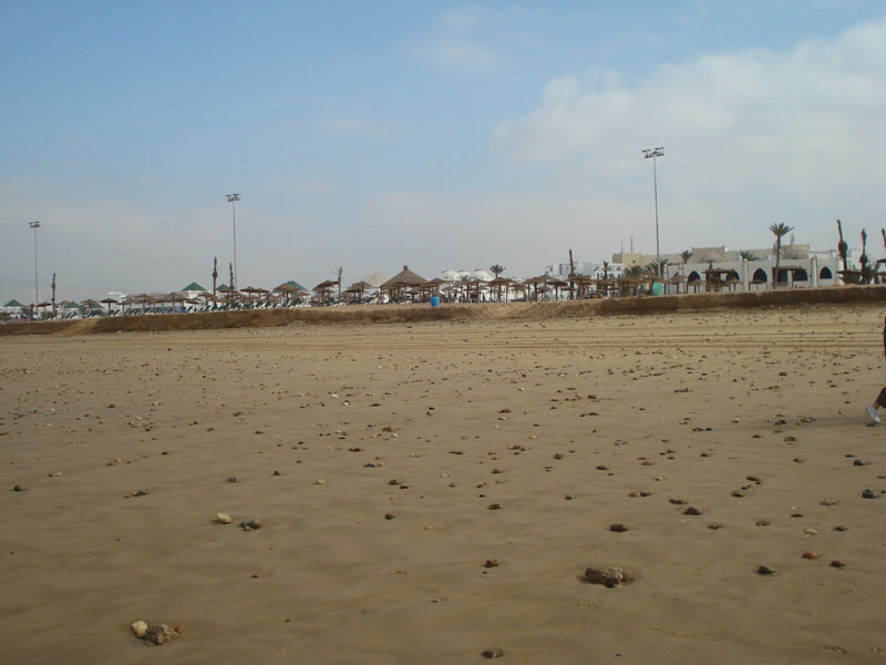 DSC01137