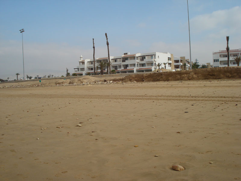 DSC01139