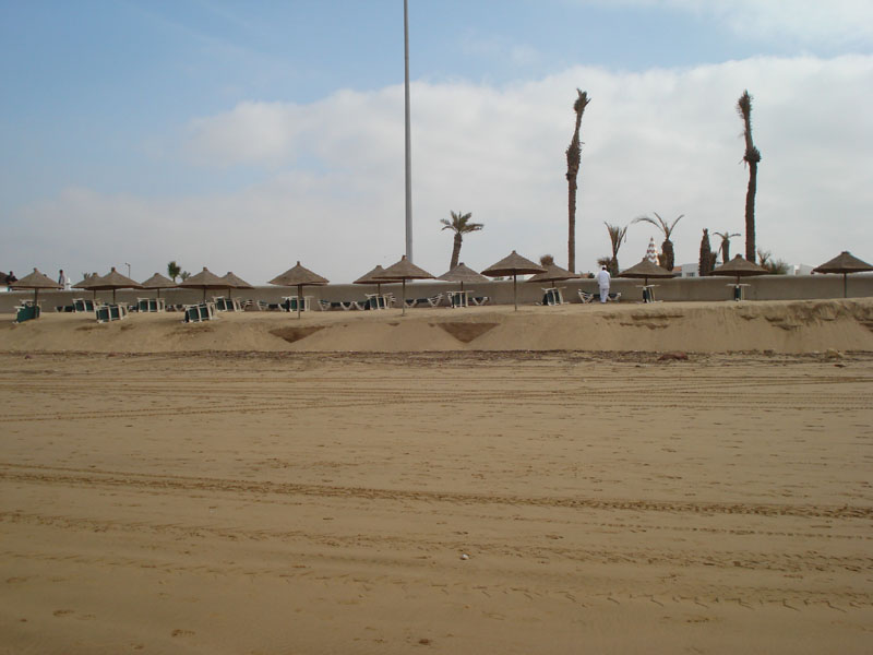 DSC01142